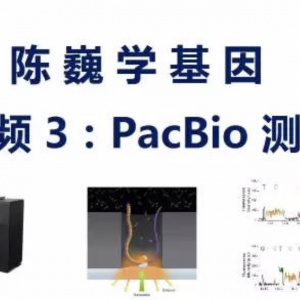 【陈巍学基因】视频3：PacBio单分子超长测序
