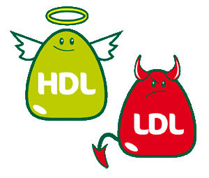 hdl-cholesterol-and-ldl-cholesterol-1.png