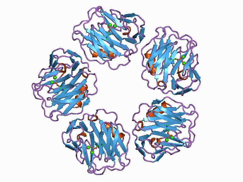 PDB_1b09_EBI.jpg