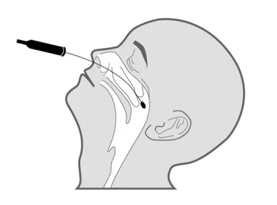 1580526467886897.png 1580526467886897.png