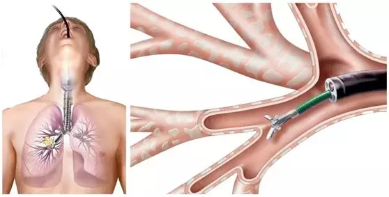 1580526523181638.png 1580526523181638.png